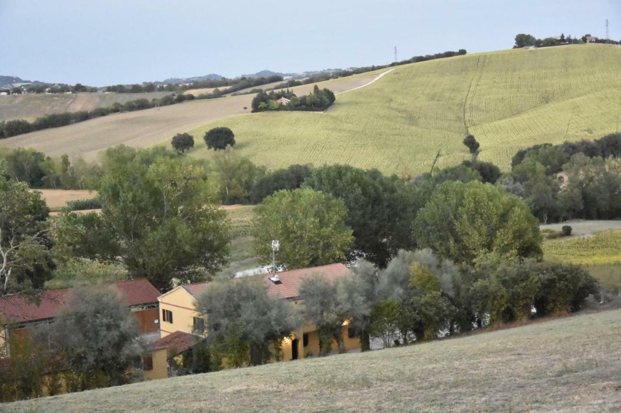 Agriturismo Fattoria Del Colle Iesi Εξωτερικό φωτογραφία