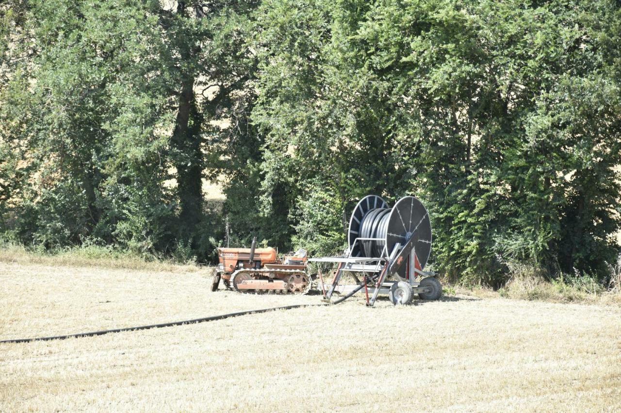 Agriturismo Fattoria Del Colle Iesi Εξωτερικό φωτογραφία