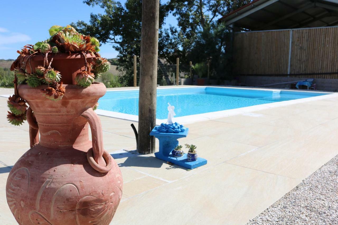 Agriturismo Fattoria Del Colle Iesi Εξωτερικό φωτογραφία