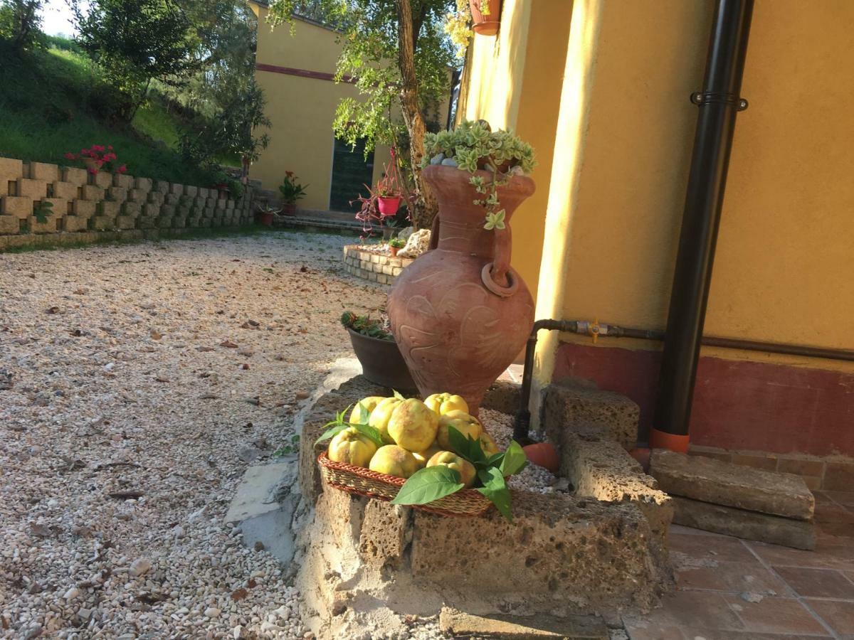 Agriturismo Fattoria Del Colle Iesi Εξωτερικό φωτογραφία