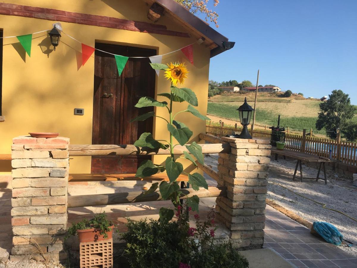Agriturismo Fattoria Del Colle Iesi Εξωτερικό φωτογραφία