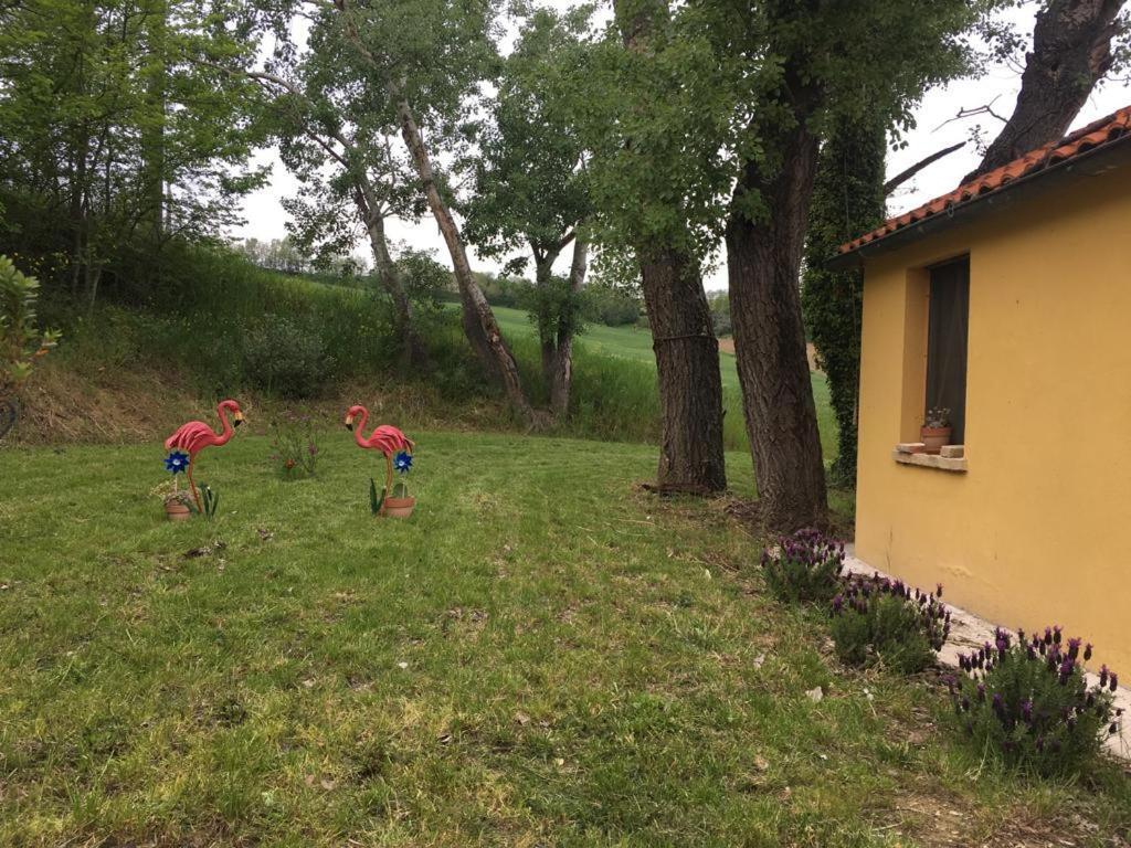 Agriturismo Fattoria Del Colle Iesi Εξωτερικό φωτογραφία