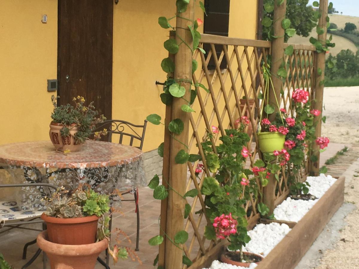 Agriturismo Fattoria Del Colle Iesi Εξωτερικό φωτογραφία