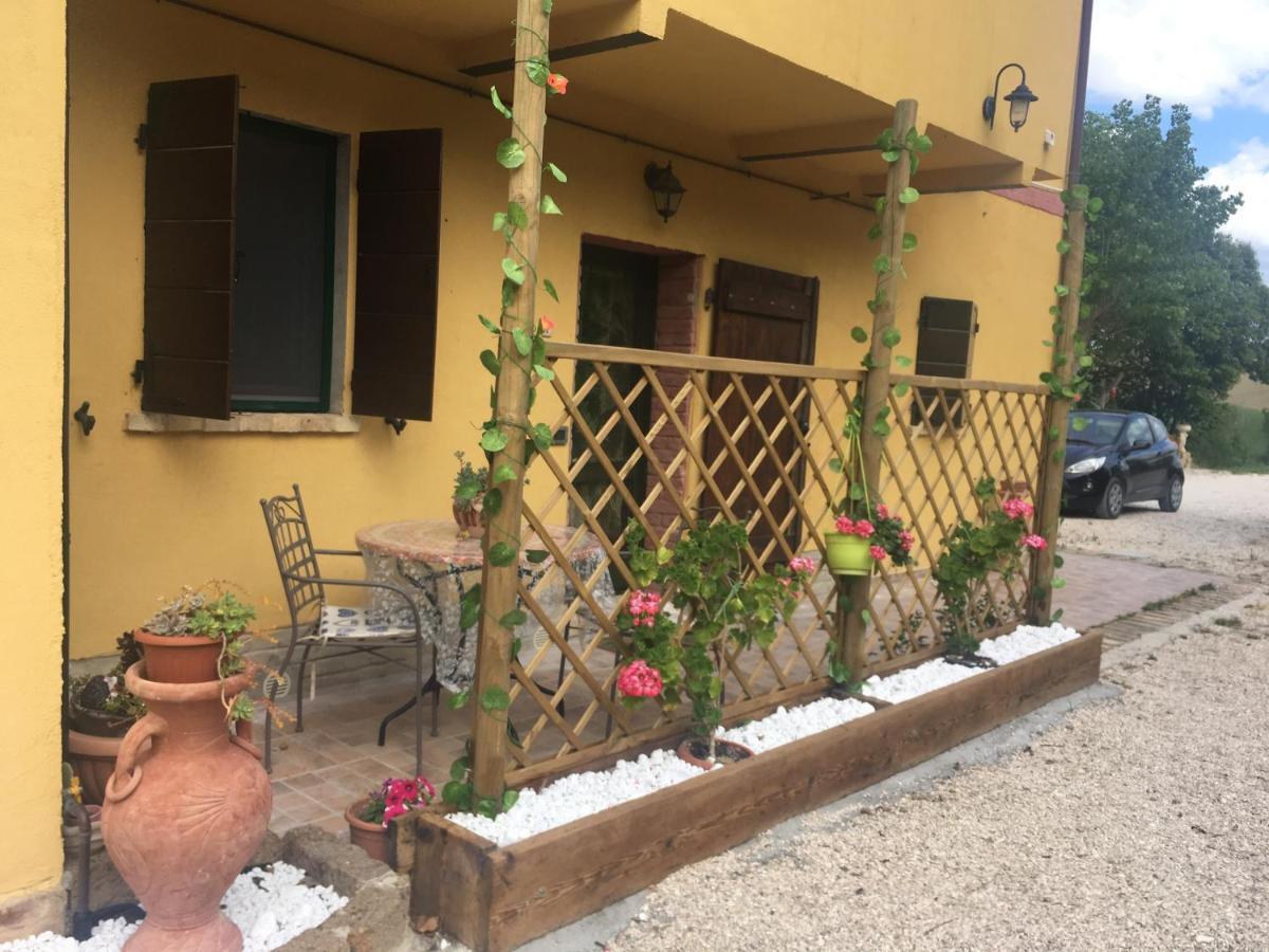 Agriturismo Fattoria Del Colle Iesi Εξωτερικό φωτογραφία