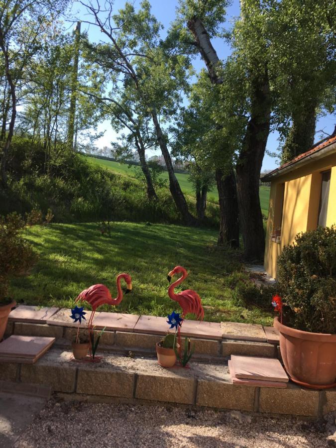 Agriturismo Fattoria Del Colle Iesi Εξωτερικό φωτογραφία